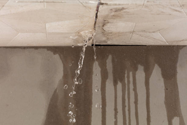 Professional Water Extraction technician working in Climax, MI